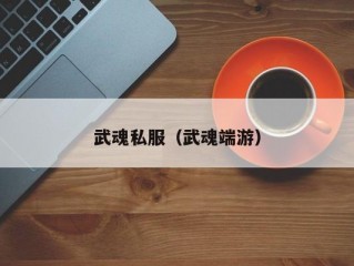 武魂私服（武魂端游）