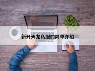 新开天龙私服的简单介绍