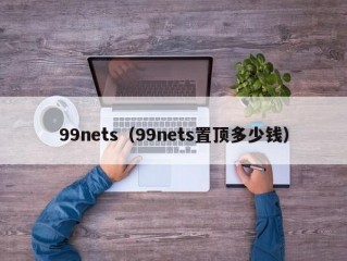 99nets（99nets置顶多少钱）