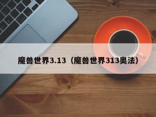 魔兽世界3.13（魔兽世界313奥法）