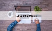 tukui（兔葵花图片）